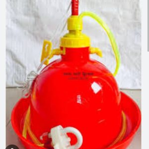KFL Special Chicken Water Pot