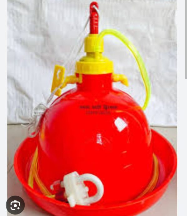 KFL Special Chicken Water Pot