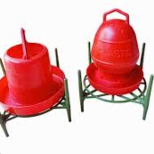 KFL Chicken Water stand and Food stand