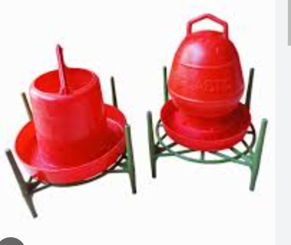 KFL Chicken Water stand and Food stand